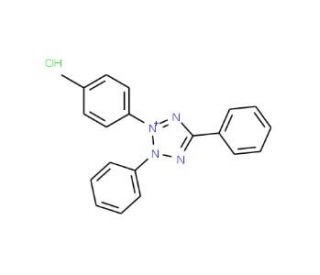 p-Tolyltetrazolium Red (CAS 71658-33-8) - chemical structure image