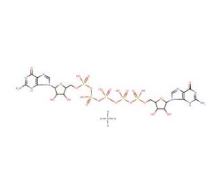 P<sup>1</sup>,P<sup>5</sup>-Di(guanosine-5&prime;) pentaphosphate ammonium salt (CAS 102783-42-6) - chemical structure image