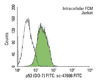 p53抗体(DO-7) | SCBT - Santa Cruz Biotechnology