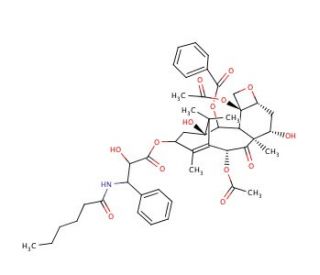 Paclitaxel C (CAS 33069-62-4) - chemical structure image