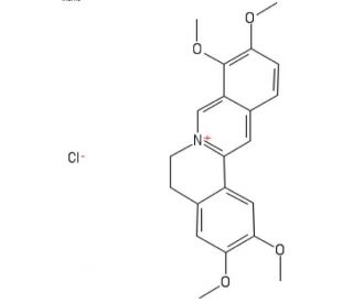 Palmatine chloride (CAS 10605-02-4) - chemical structure image