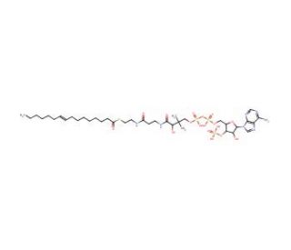 Palmitoleoyl coenzyme A lithium salt (CAS 18198-76-0) - chemical structure image