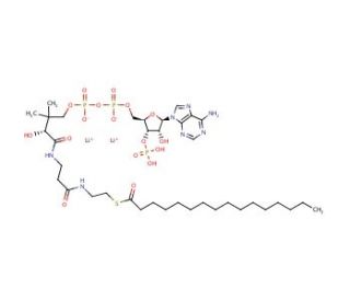 Palmitoyl coenzyme A lithium salt (CAS 188174-64-3) - chemical structure image