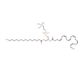 Palmitoyldocosahexaenoyl Phosphatidylcholine - chemical structure image