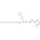 Palmitoyldocosahexaenoyl Phosphatidylcholine - chemical structure image