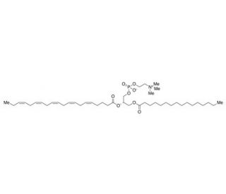 Palmitoyleicosapentaenoyl Phosphatidylcholine - chemical structure image