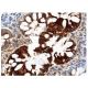pan CEA Antibody (D-3) - Immunohistochemistry - Image 156900