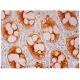 pan CEA Antibody (D14HD11) - Immunohistochemistry - Image 296613 