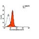 pan ECA Antibody (MECA-32) - Flow Cytometry - Image 6108
