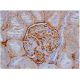 pan NOS Antibody (NOS-3F7-B11 B5) - Immunohistochemistry - Image 348307 