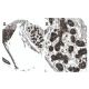 PCPE-1 Antibody (10D9) - Immunohistochemistry - Image 37993
