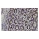 PCSK1 Antibody (J-18) - Immunohistochemistry - Image 36075 