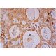 PDK3 Antibody (A-4) - Immunohistochemistry - Image 286379 