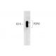 PDPK1 Antibody (5) - Western Blotting - Image 127526
