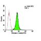 CD31/PECAM-1 Antibody (10G9) - Flow Cytometry - Image 6024