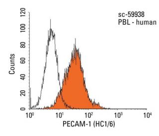 CD31/PECAM-1 Antibody (HC1/6) - Flow Cytometry - Image 18013 