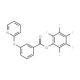 Pentafluorophenyl 3-(pyridin-2-yloxy)benzoate (CAS 921938-61-6) - chemical structure image