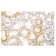 PHACS Antibody (MA-02) - Immunohistochemistry - Image 53977 