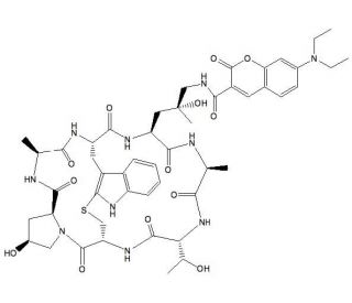 Phalloidin, Coumarin Labeled - chemical structure image