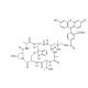 Phalloidin-Fluorescein Conjugate - chemical structure image
