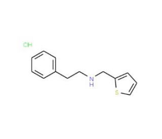 Phenethyl-thiophen-2-ylmethyl-amine hydrochloride - chemical structure image