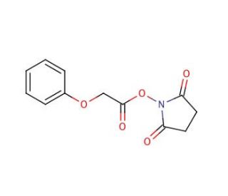 Phenoxyacetic acid N-hydroxysuccinimide ester (CAS 38678-58-9) - chemical structure image