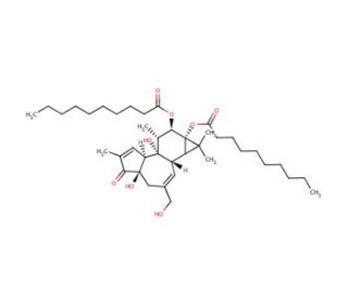Phorbol 12,13-didecanoate (CAS 24928-17-4) - chemical structure image