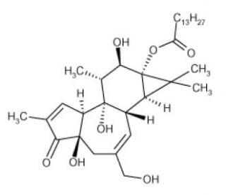 Phorbol 13-myristate (CAS 115905-51-6) - chemical structure image