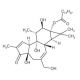 Phorbol 13-myristate (CAS 115905-51-6) - chemical structure image