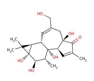 Phorbol (CAS 17673-25-5) - chemical structure image