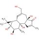 Phorbol (CAS 17673-25-5) - chemical structure image