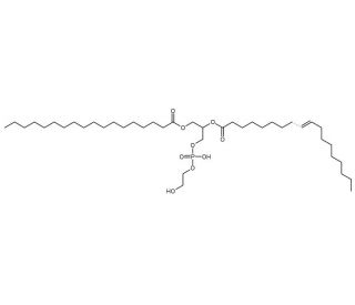 Phosphatidylethanol: Sc-222166...