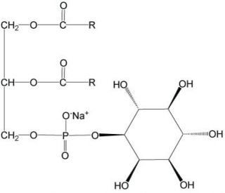 Phosphatidylinositol (CAS 383907-36-6) - chemical structure image