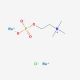 Phosphocholine Chloride Sodium Salt (CAS 16904-96-4) - chemical structure image