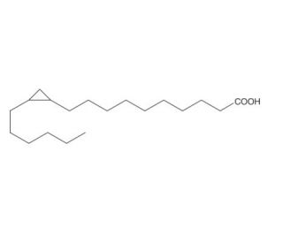 Phytomonic Acid (CAS 503-06-0) - chemical structure image