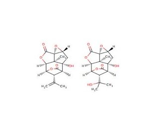 Zapi Pyganic piretro naturale - Anticadutavasi