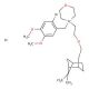 Pinaverium Bromide (CAS 53251-94-8) - chemical structure image