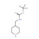 Pip(4-Boc-AM) (CAS 135632-53-0) - chemical structure image