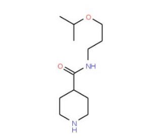 Piperidine-4-carboxylic acid (3-isopropoxy-propyl)-amide - chemical structure image