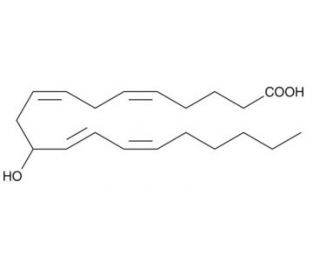 (&plusmn;)11-HETE (CAS 73804-65-6) - chemical structure image
