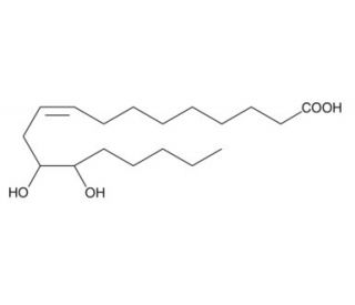 (&plusmn;)12,13-DiHOME (CAS 263399-35-5) - chemical structure image