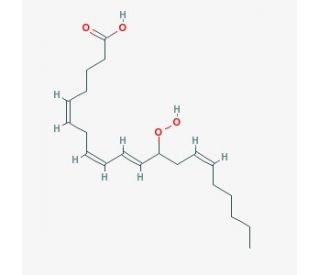 (&plusmn;)12-HpETE (CAS 71030-35-8) - chemical structure image