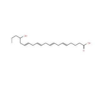 (&plusmn;)17-HETE - chemical structure image