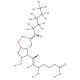 (±)5-iPF2α-VI-d11 (CAS 936565-17-2) - chemical structure image