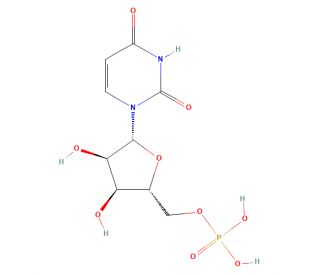 Polyuridylic acid potassium salt (CAS 27416-86-0) - chemical structure image