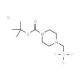 Potassium 1-trifluoroboratomethyl-4-(N Boc)-piperazine (CAS 936329-97-4) - chemical structure image