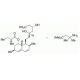 Pravastatin 1,1,3,3-Tetramethylbutylamine (CAS 151006-14-3) - chemical structure image