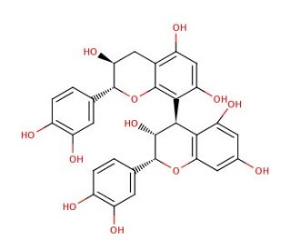 Procyanidin B1 | CAS 20315-25-7 | SCBT - Santa Cruz Biotechnology