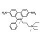 Propidium iodide solution (CAS 25535-16-4) - chemical structure image 