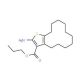 Propyl 2-amino-4,5,6,7,8,9,10,11,12,13-decahydro-cyclododeca[b]thiophene-3-carboxylate - chemical structure image